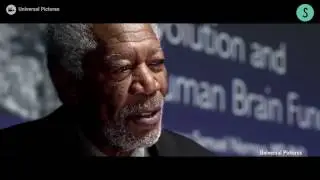 The Most Common Misconception About the Human Brain