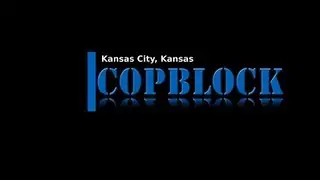 Cops Don't Stop ~ But They'll Stop You