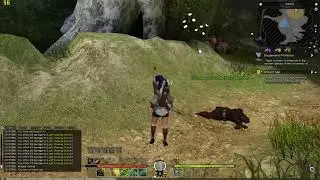 Bless Online Gameplay / FPS Test Ryzen 1600X 4.2GHz  RX 480
