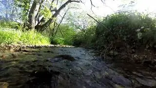 Flowing stream