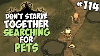 Searching for New Pets - Don't Starve Together Gameplay - Part 114