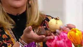 Roberta's 110-Piece Treasure Garden Live Bulbs Collection on QVC