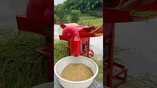 Mini portable multifunctional rice thresher #ricethresher #paddythresher #backbone #farmer