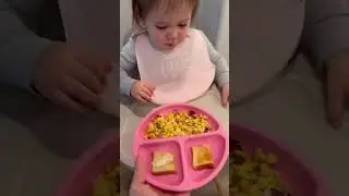 Toddler breakfast ideas, toddler meal ideas, one year old breakfast #babymeal #toddlerbreakfast