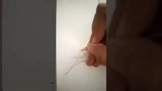 Drawing a sparrow with WAX CRAYONS#drawing#waxcrayons#wax#sparrow#bird#shorts