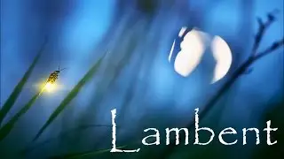 Word of the Day | Lambent | 02/05/2017 | Worditious