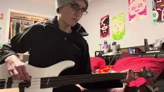 Rogue fretless bass restrung with roundwound 40-95 strings (sound test)