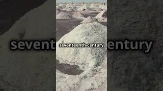 🧂Shocking History of Salt You Never Knew! 🧂✨ #facts #ai #salt