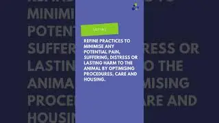 #Replace #Reduce #Refine