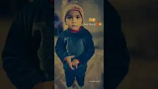 Taj Khan