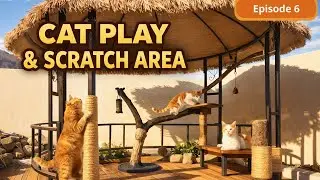 Building a Winter Shelter for Stray Cats | An Activity Space for Stray Cats | Episode 6