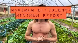 Mindset of Maximum Efficiency, Minimum Effort!