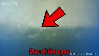 Rare Footage Of The HISTORIC Moby Dick Animatronic Under The Water To This Day
