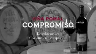 Vi&ntilde;a Pomal Compromiso _ el Vino (30seg)