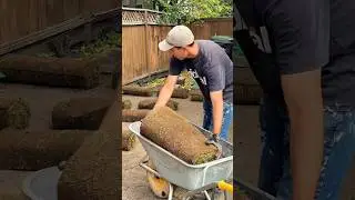Backyard Transformation in Woodbine 🌱 Fresh Sod Install | Calgary Landscaping