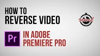 How to Reverse Video Clip in Adobe Premiere Pro