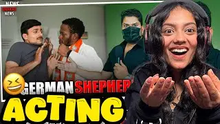 German Shepherd Reaction By Pooja Chandola Harsh Rajput