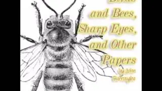 Birds and Bees, Sharp Eyes, and Other Papers (FULL Audiobook)