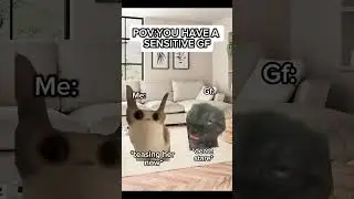 POV:YOU HAVE A SENSITIVE GF PART 1 #cats #comedy #funny #pov #funnycats #relationshipcomedy