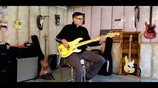 Only The Lonely ~ The Motels (Bass Cover)