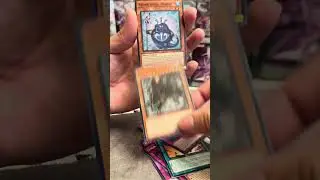 Double Azamina Pull?! 😱 Shark Strike + Mu Rcielago in ROTA Packs! | #yugiohshorts