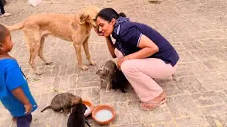 Pawri with Every Dog! | LCP Pawlife
