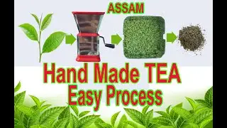 How to make hand made tea at home. Assam Black tea.