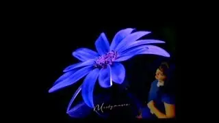 Metta & Glyde and Susanne Teutenberg - The Universe You Need. Original Mix.&copy; Ion Jeb Years Rmx.2024
