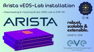 Arista Automation & Programmability: Часть 1 &mdash; Установка vEOS-Lab на EVE-NG