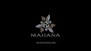 Mahana Aerial over Autumn leaves