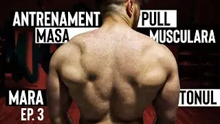 ANTRENAMENT SPATE | BICEPS | DELTOID POSTERIOR *GROSIME*