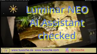 Luminar AI Assistant Tutorial | What It Does & How to Use It