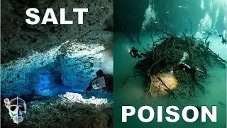 UNDERWATER PHENOMENA: Halocline vs Hydrogen Sulfide