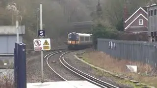 444045