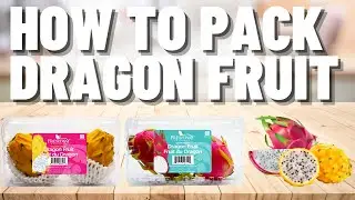 How to pack Dragon Fruit by Quality and Size #pitaya #dragonfruit