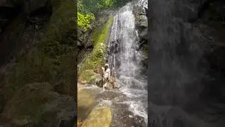 Waterfall #waterfall #youtubeshorts #travel