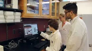 First-Year Honors Mentor Program