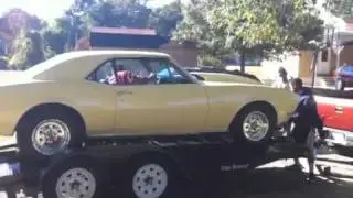 Wiz racing