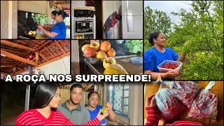 AGORA TEMOS NOVIDADES! 😍 NA ROÇA MOMENTOS SIMPLES QUE SE TORNAM RICOS JUNTO A FAMÍLIA… 🙏🏼