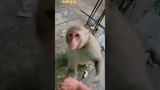 #mushara#madrchod#funny#video#viral#😃😉😝