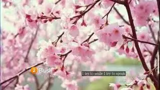 Blush - Cute & Shy K-pop Crush Song by M | 볼이 빨개지는 수줍은 사랑 노래