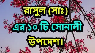 প্রিয় নবী সাল্লাল্লাহু আলাইহি ওয়াসাল্লাম এর ১০ টি সোনালী উপদেশ || Rohan Technology