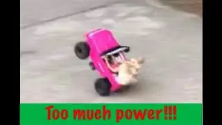 Custom rc Barbie car does wheelies!!!