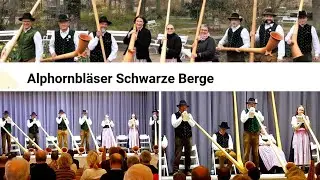 HIGHLIGHTS: ALPORNBL&Auml;SER SCHWARZE BERGE ✨ Dreik&ouml;nigskonzert Bad Bocklet 2025 [Teil 1]