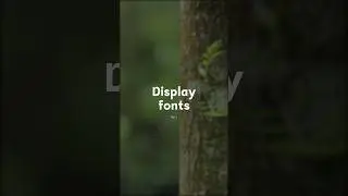 Display Fonts (Part 2) #fonts #fontstyle #displayfont