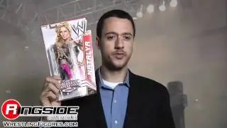 Natalya WWE Series 20 Mattel Toy Wrestling Action Figure - RSC Figure Insider