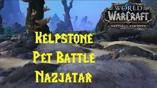 Kelpstone - Pet Battle Strategy Guide WoW BFA 8.2