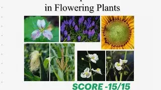 Sexual reproduction in Flowering plants class 12 ONESHOT | NCERT + diagram + PYQS| biology chapter 1