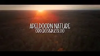 4K cinematic drone footage - Apeldoorn nature (Ordebos&Bussloo)