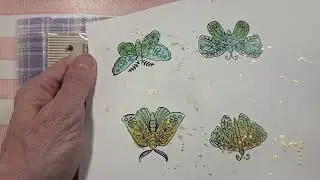 Sweet Miss Daisy stamp share